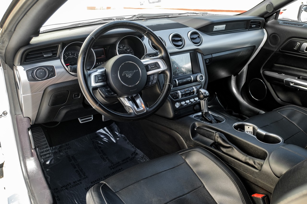 Ford Mustang Vehicle Main Gallery Image 03