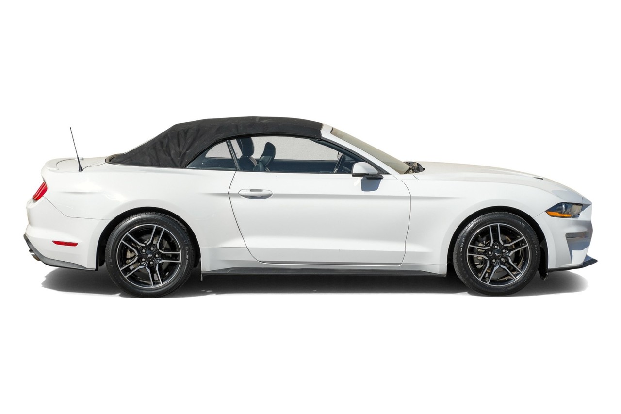 Ford Mustang Vehicle Main Gallery Image 07