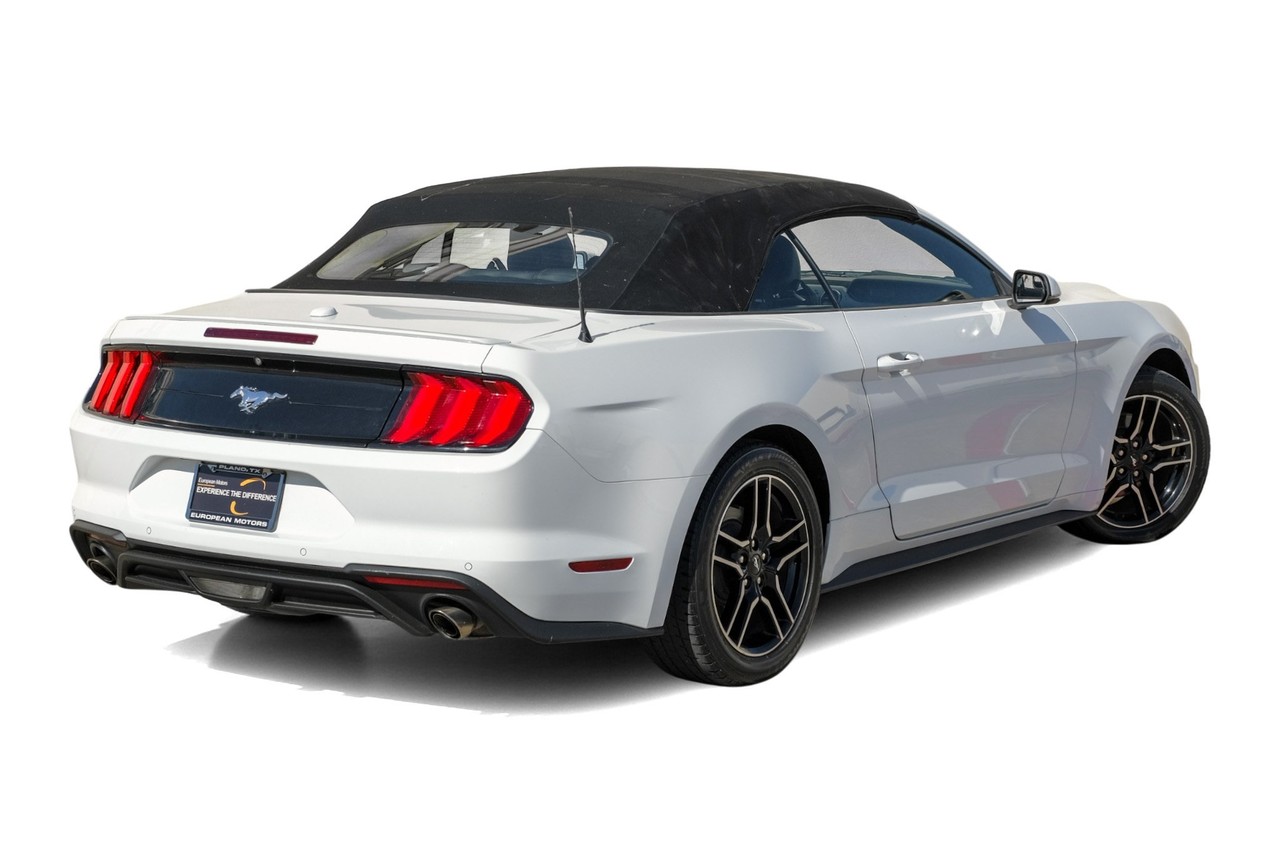 Ford Mustang Vehicle Main Gallery Image 08
