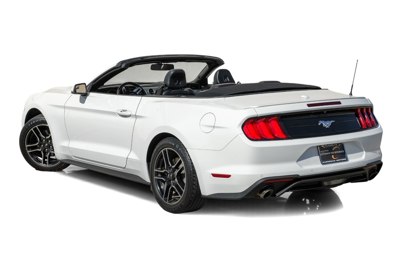 Ford Mustang Vehicle Main Gallery Image 10