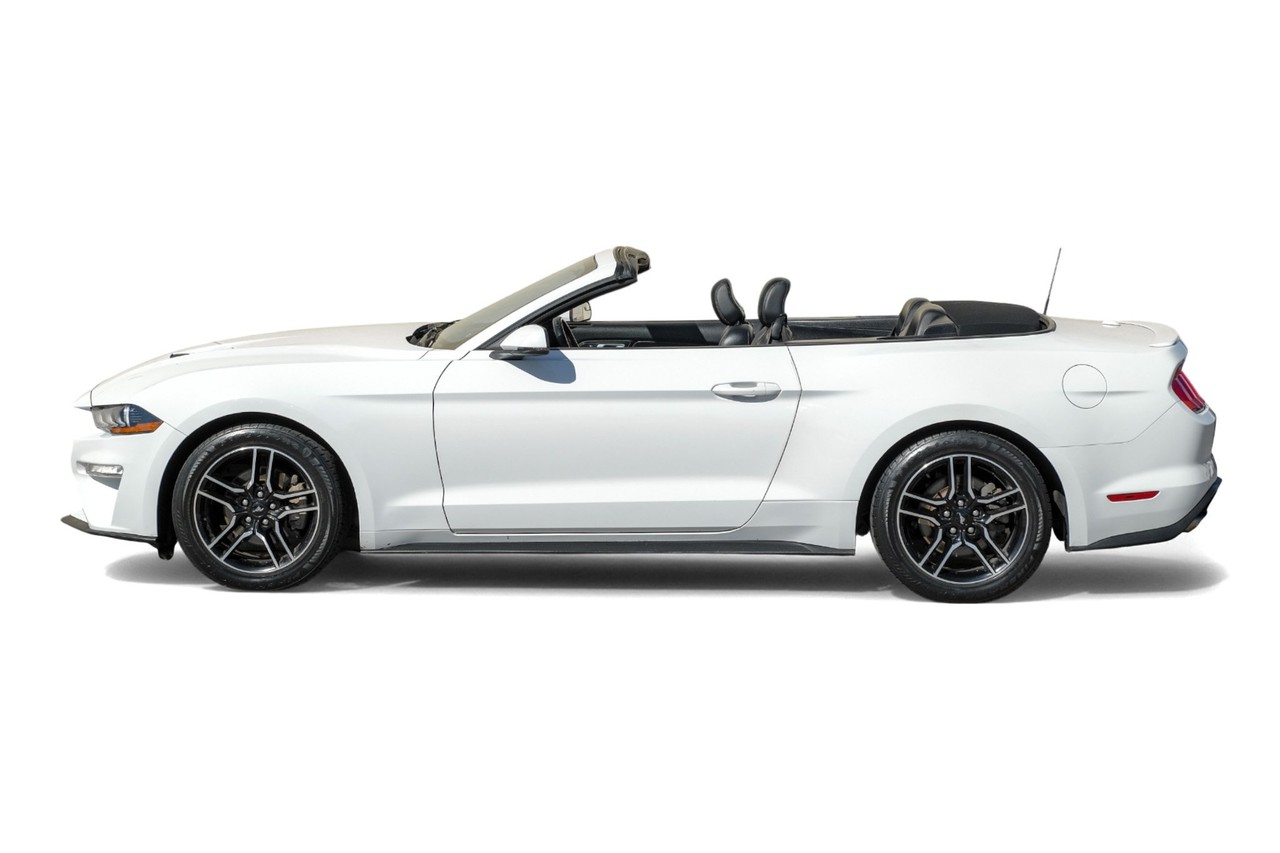 Ford Mustang Vehicle Main Gallery Image 11