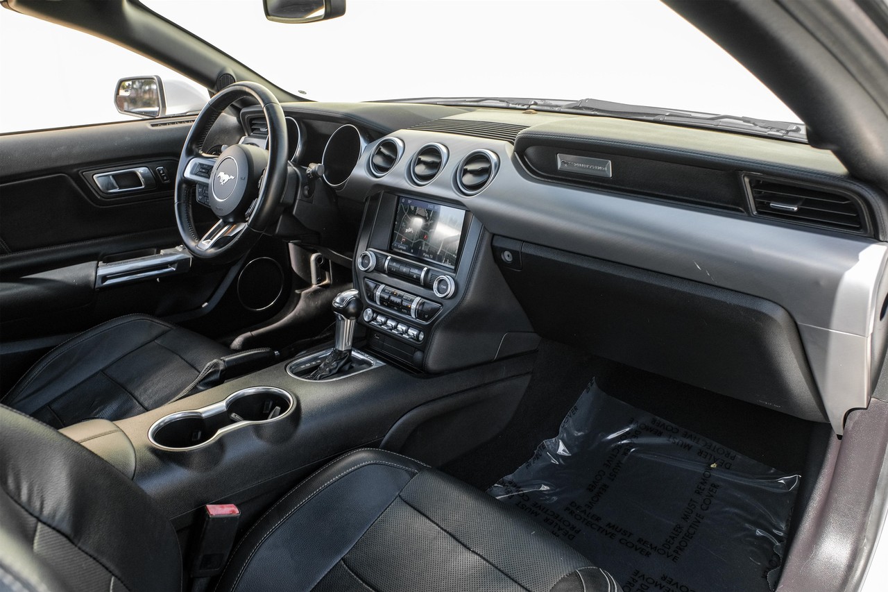Ford Mustang Vehicle Main Gallery Image 12