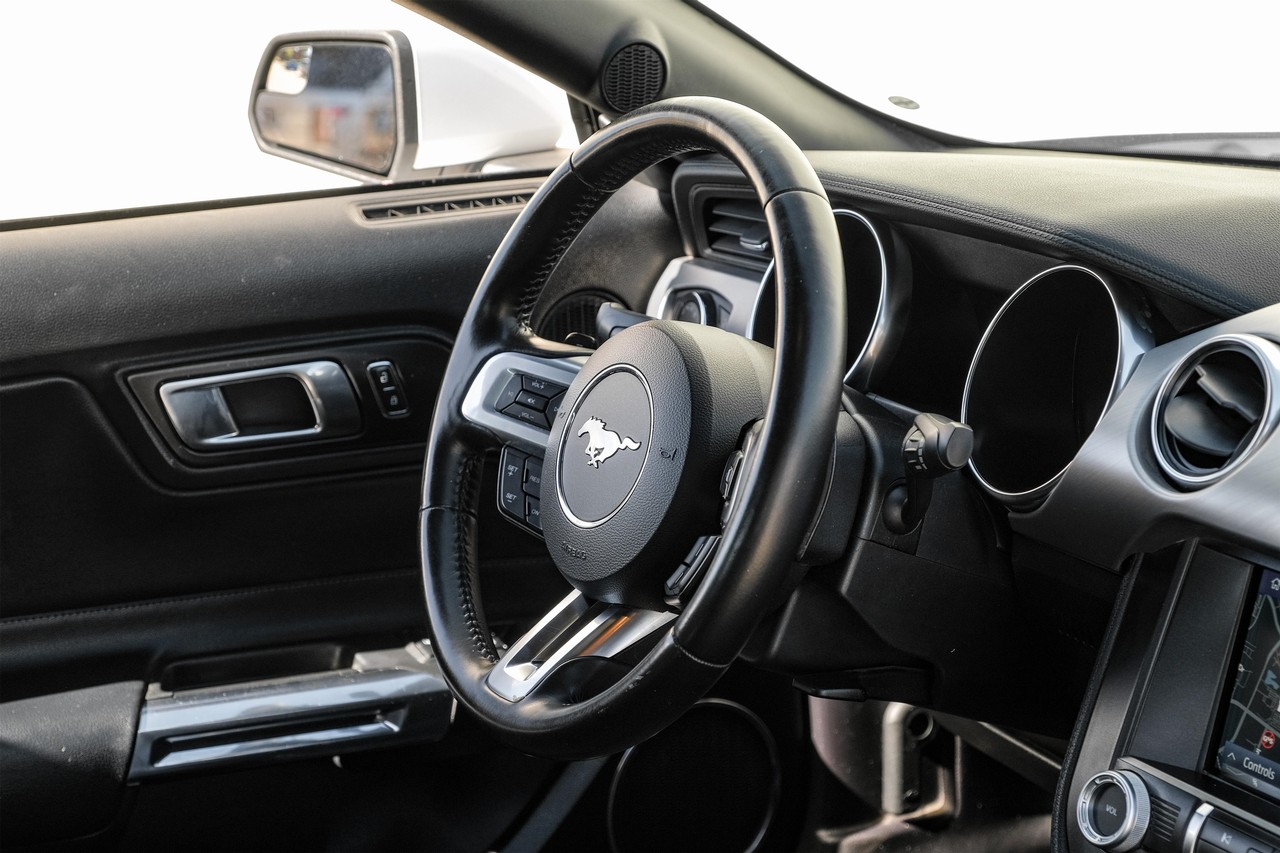 Ford Mustang Vehicle Main Gallery Image 13