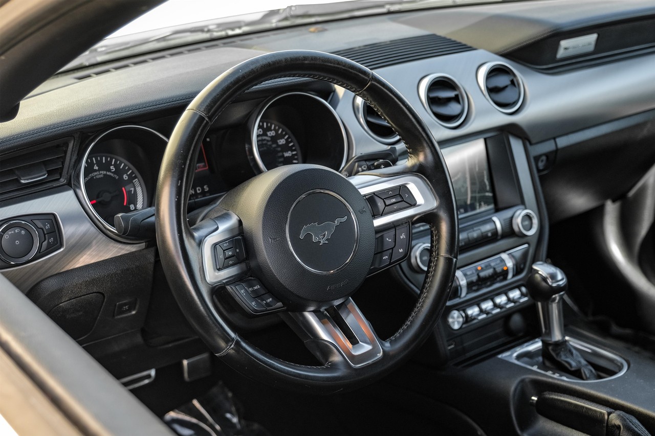 Ford Mustang Vehicle Main Gallery Image 14