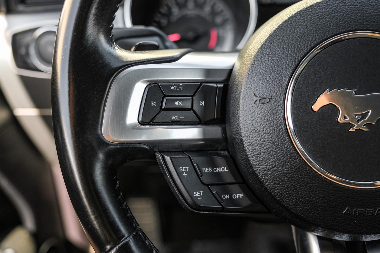 Ford Mustang Vehicle Main Gallery Image 15