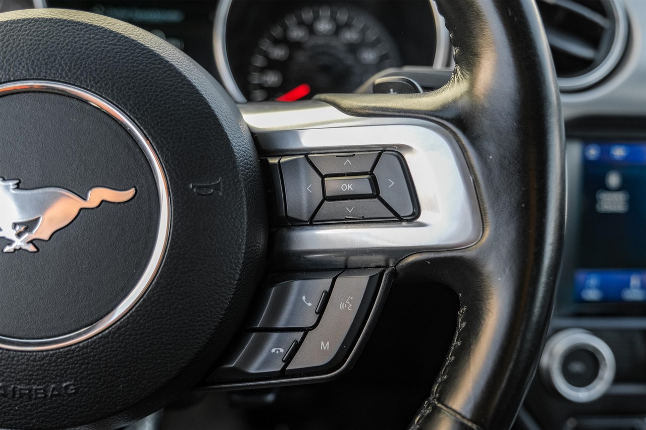 Ford Mustang Vehicle Main Gallery Image 16