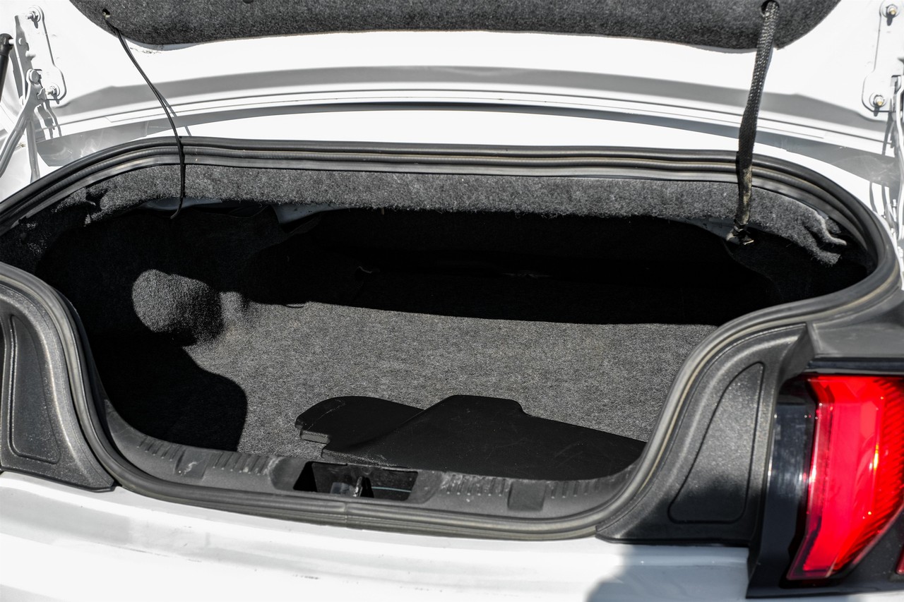Ford Mustang Vehicle Main Gallery Image 42