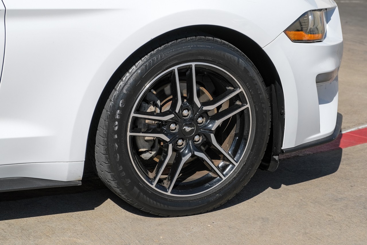 Ford Mustang Vehicle Main Gallery Image 45