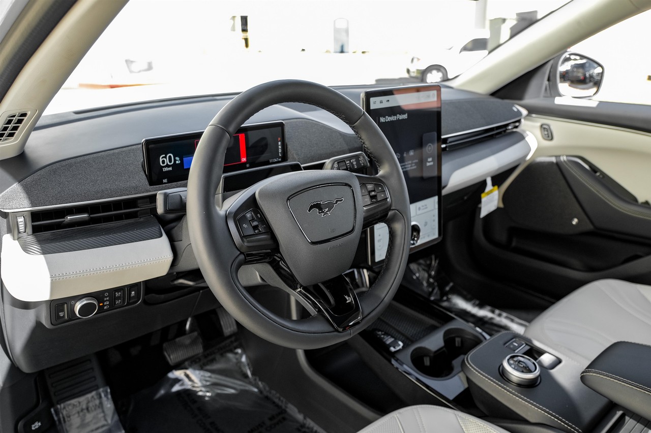 Ford Mustang Mach-E Vehicle Main Gallery Image 03