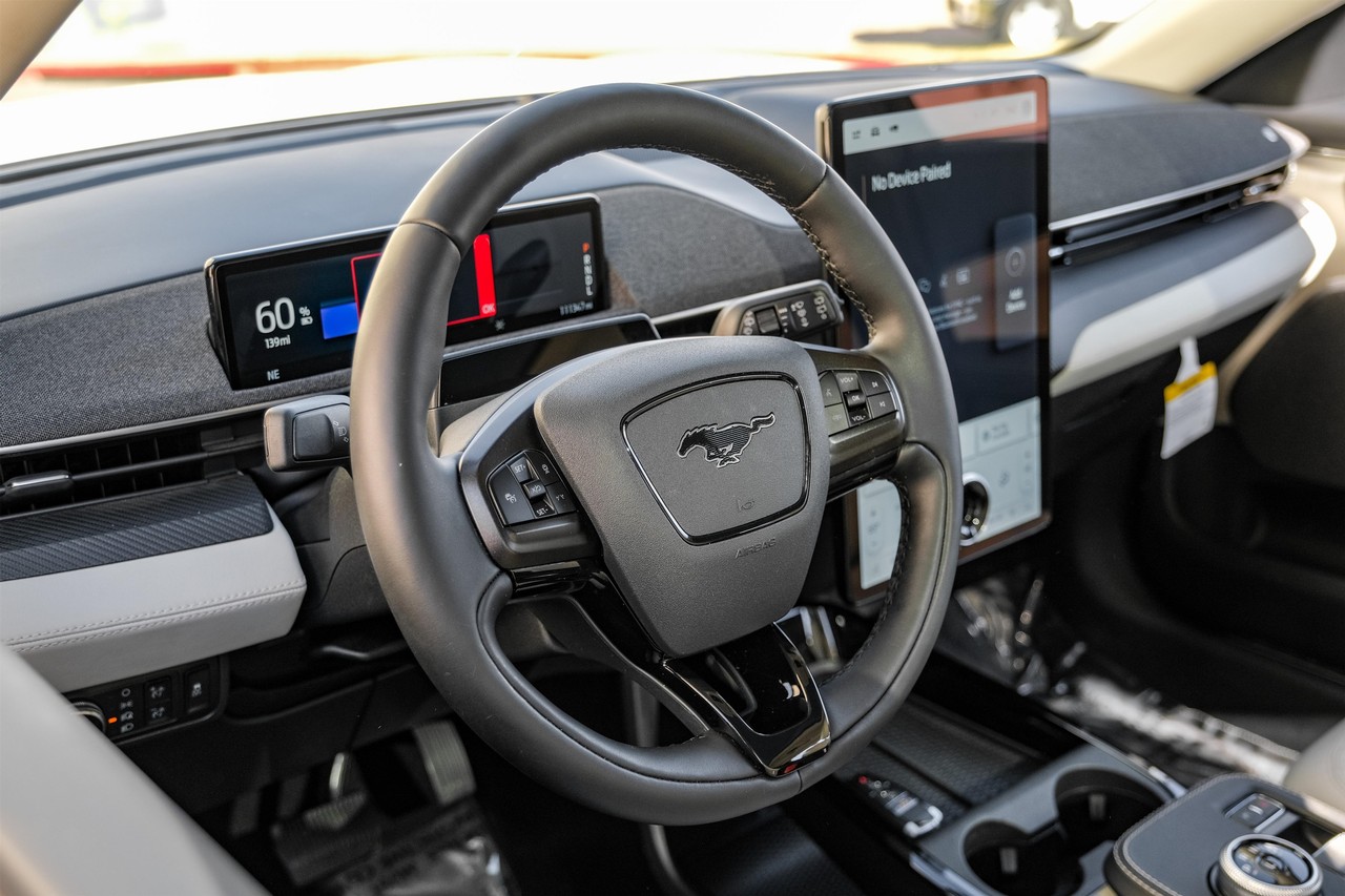 Ford Mustang Mach-E Vehicle Main Gallery Image 16