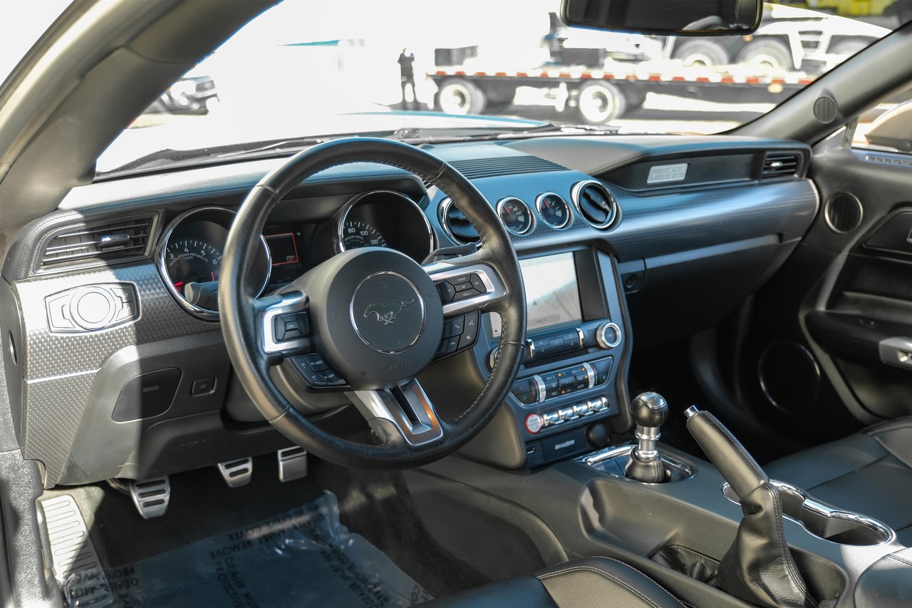 Ford Mustang Vehicle Main Gallery Image 03