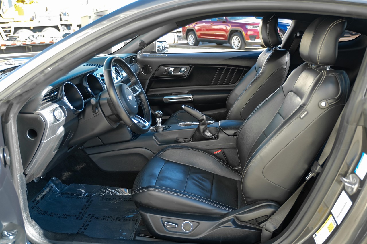 Ford Mustang Vehicle Main Gallery Image 04