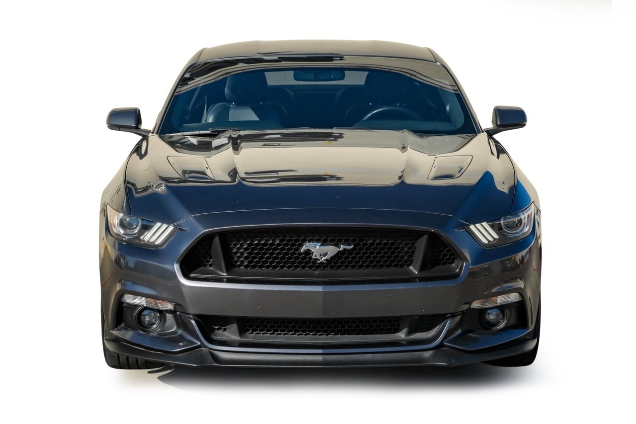 Ford Mustang Vehicle Main Gallery Image 05