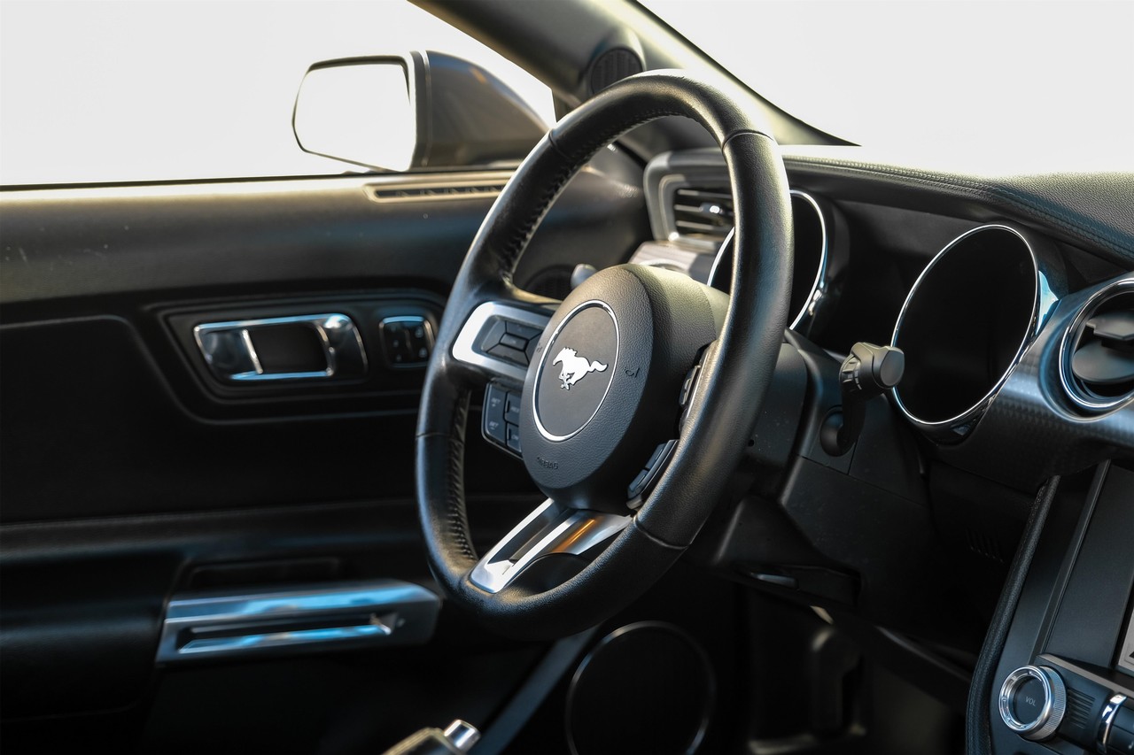 Ford Mustang Vehicle Main Gallery Image 13