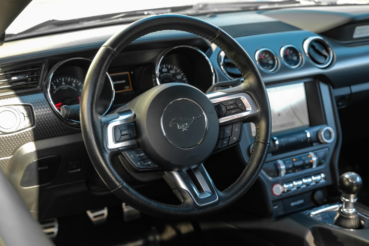 Ford Mustang Vehicle Main Gallery Image 14