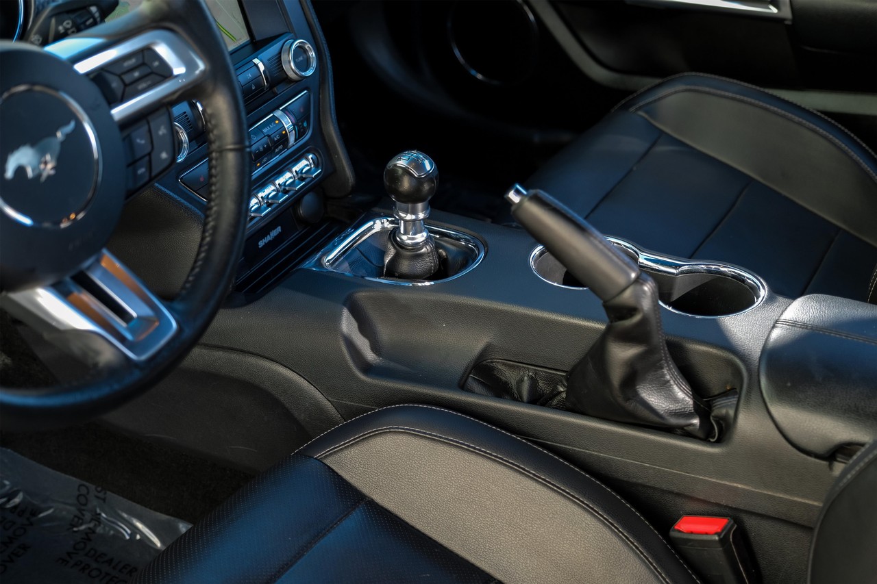 Ford Mustang Vehicle Main Gallery Image 22