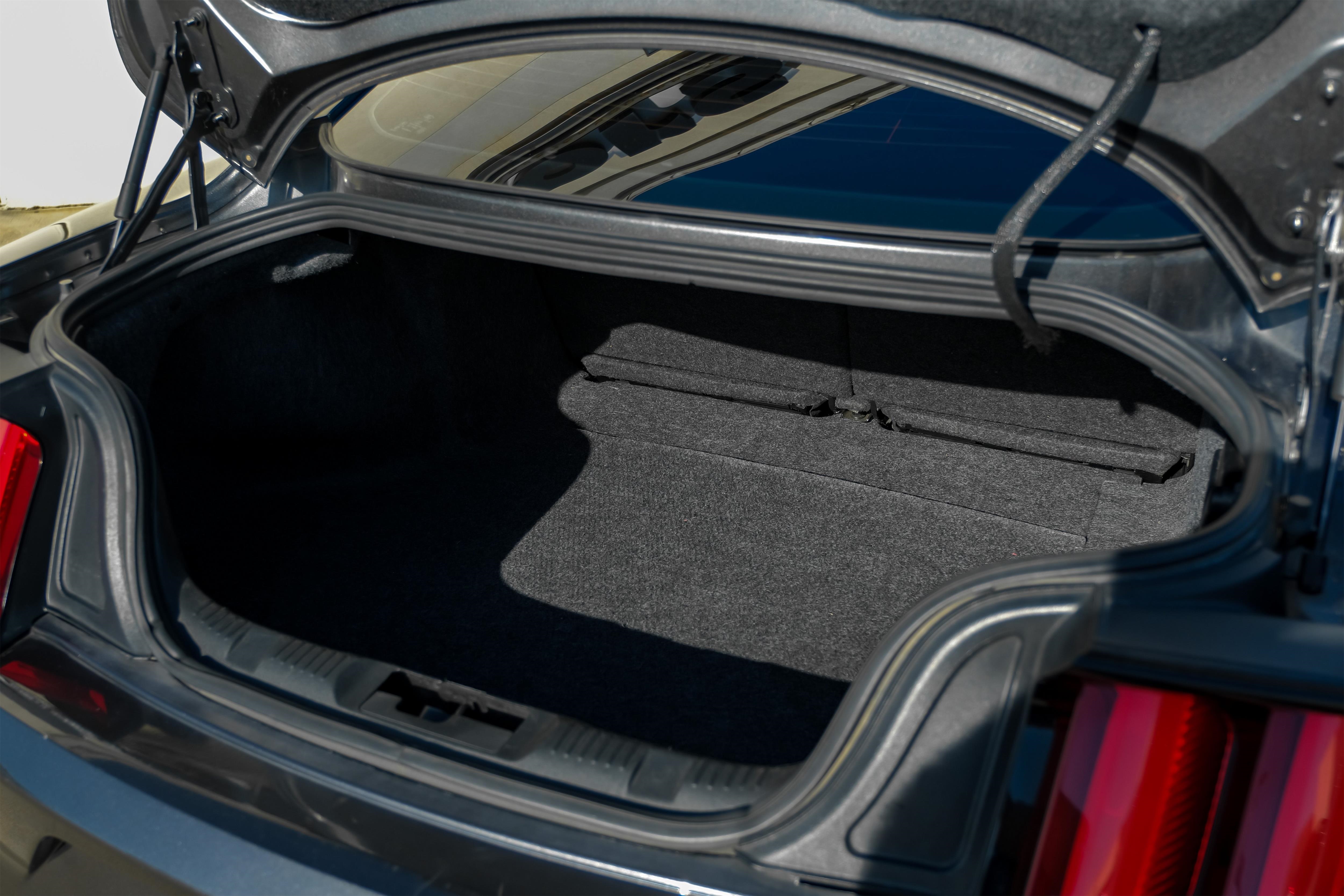 Ford Mustang Vehicle Main Gallery Image 42