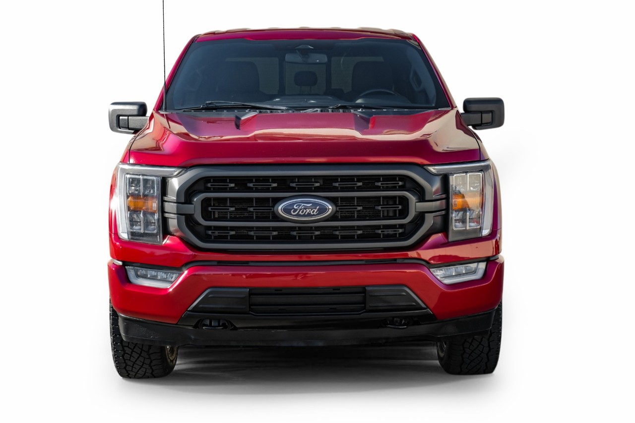 Ford F-150 Vehicle Main Gallery Image 05