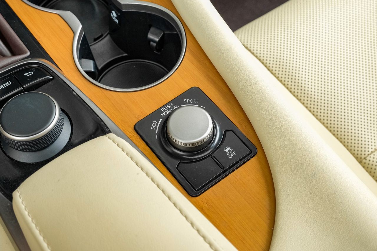Lexus RX Vehicle Main Gallery Image 29
