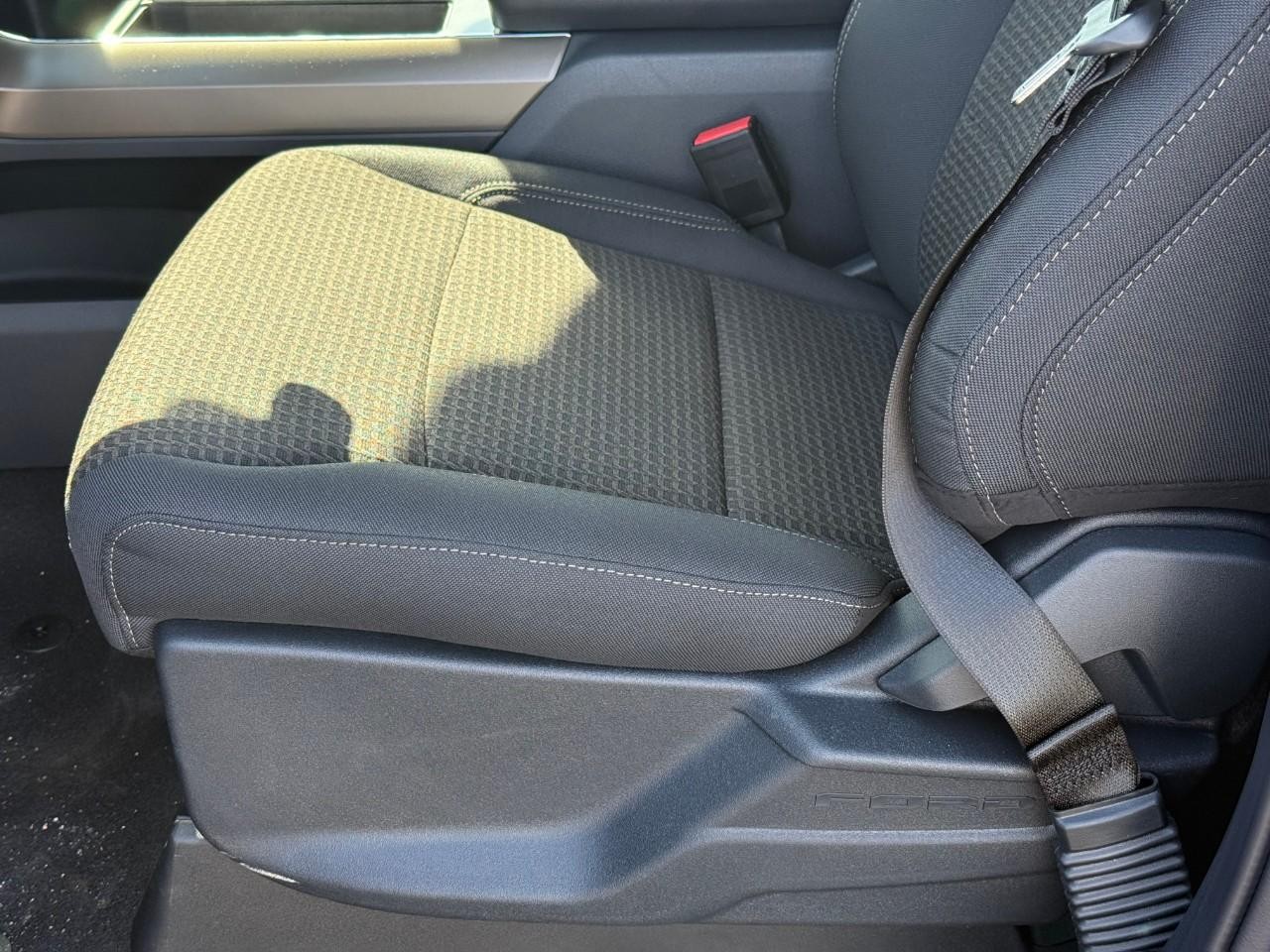 Ford F-150 Vehicle Full-screen Gallery Image 11