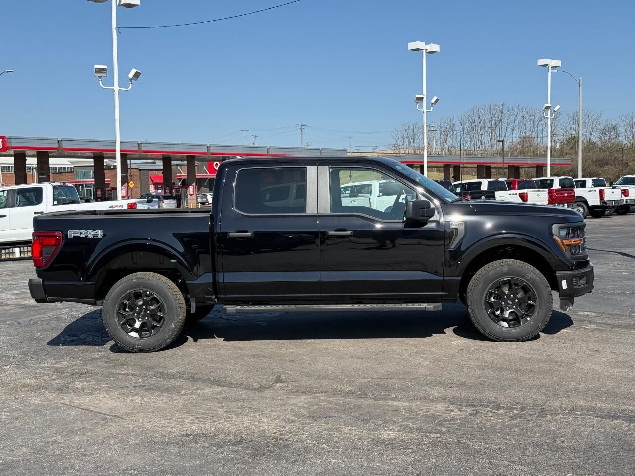 Ford F-150 Vehicle Full-screen Gallery Image 02