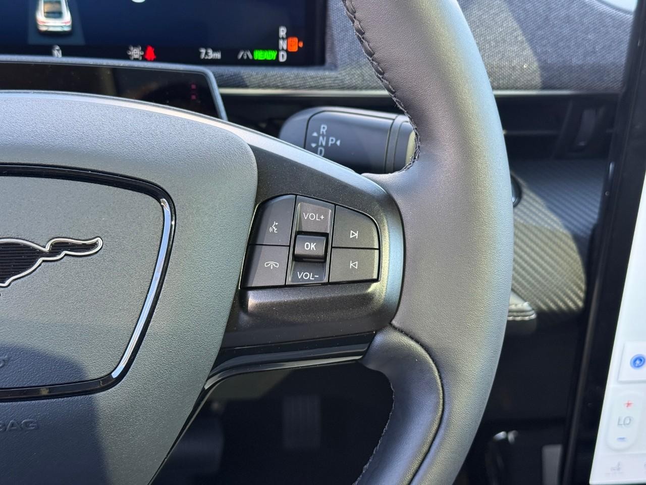 Ford Mustang Mach-E Vehicle Full-screen Gallery Image 15