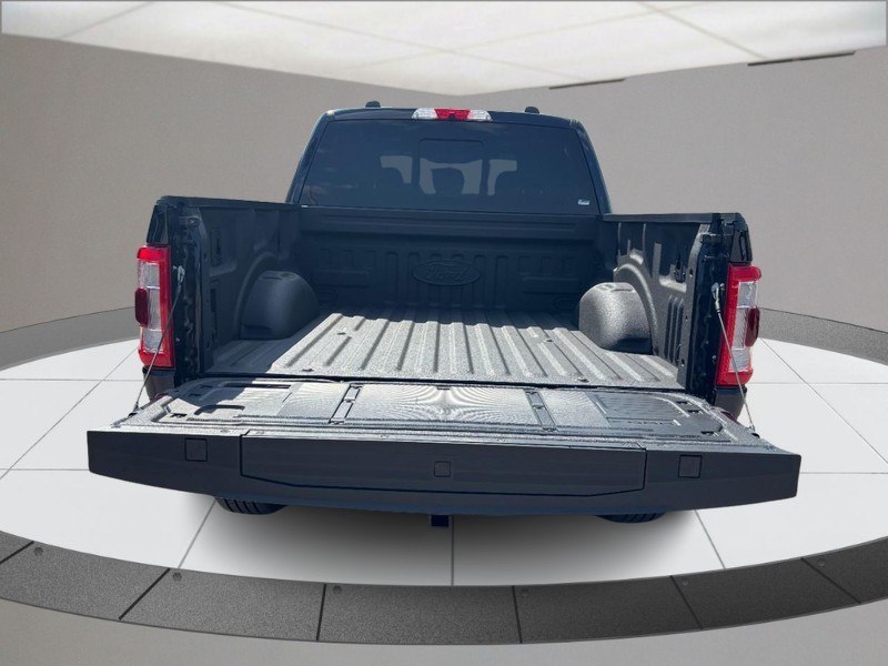Ford F-150 Vehicle Full-screen Gallery Image 04