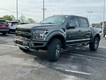 2018 Ford F-150 4WD Raptor SuperCrew thumbnail image 07