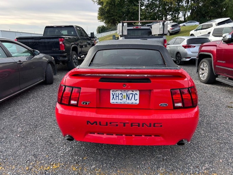 Ford Mustang Vehicle Full-screen Gallery Image 3