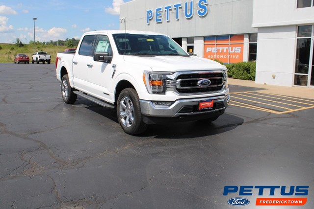 2022 Ford F-150 4WD XLT SuperCrew at Pettus Ford Fredericktown in Fredericktown MO