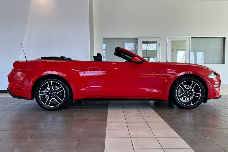 Ford Mustang Vehicle Full-screen Gallery Image 03