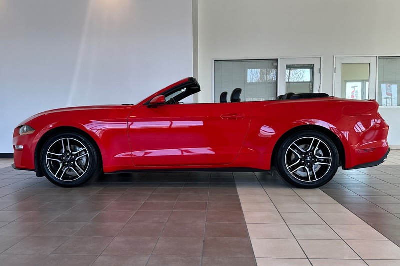 Ford Mustang Vehicle Full-screen Gallery Image 07
