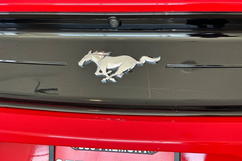 Ford Mustang Vehicle Full-screen Gallery Image 27