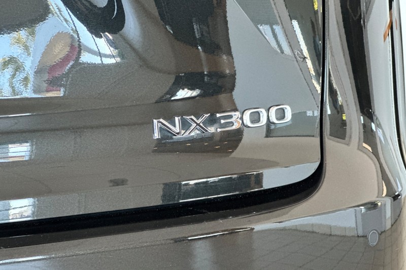 Lexus NX Vehicle Full-screen Gallery Image 28
