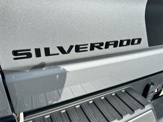Chevrolet Silverado 1500 Vehicle Full-screen Gallery Image 30