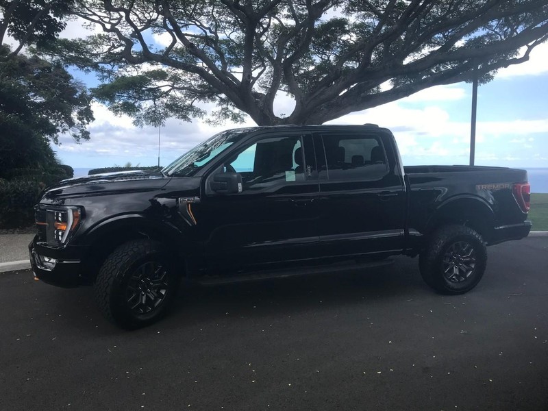 Ford F-150 Vehicle Full-screen Gallery Image 5