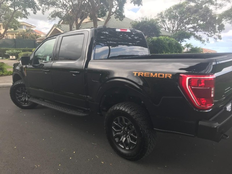 Ford F-150 Vehicle Full-screen Gallery Image 7