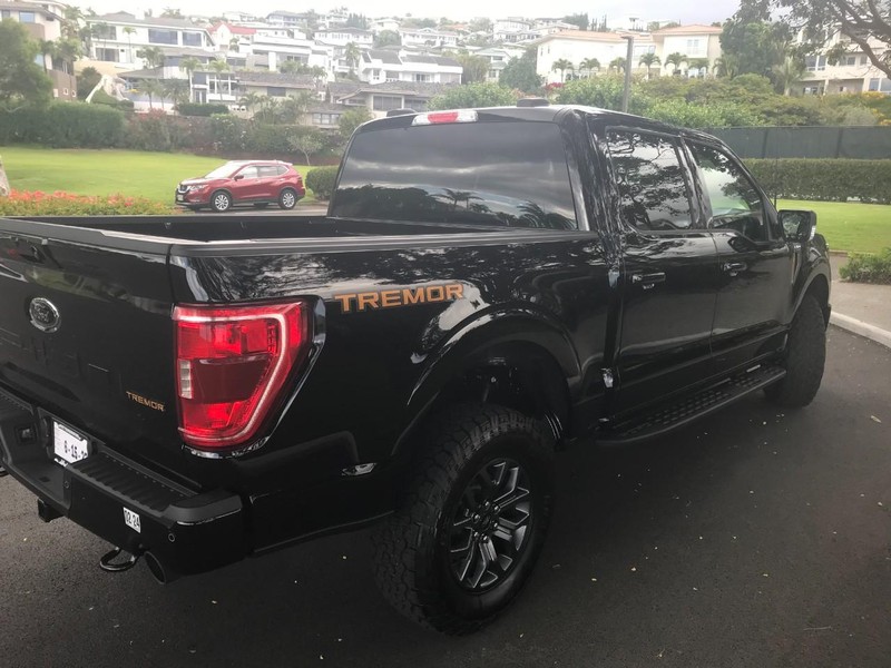 Ford F-150 Vehicle Full-screen Gallery Image 8