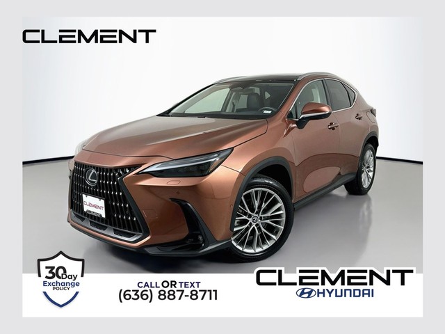 Lexus NX NX 350 Luxury - Wentzville MO