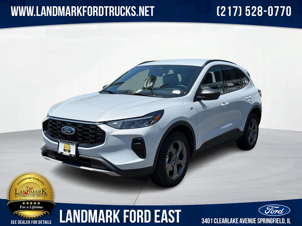 Print Image