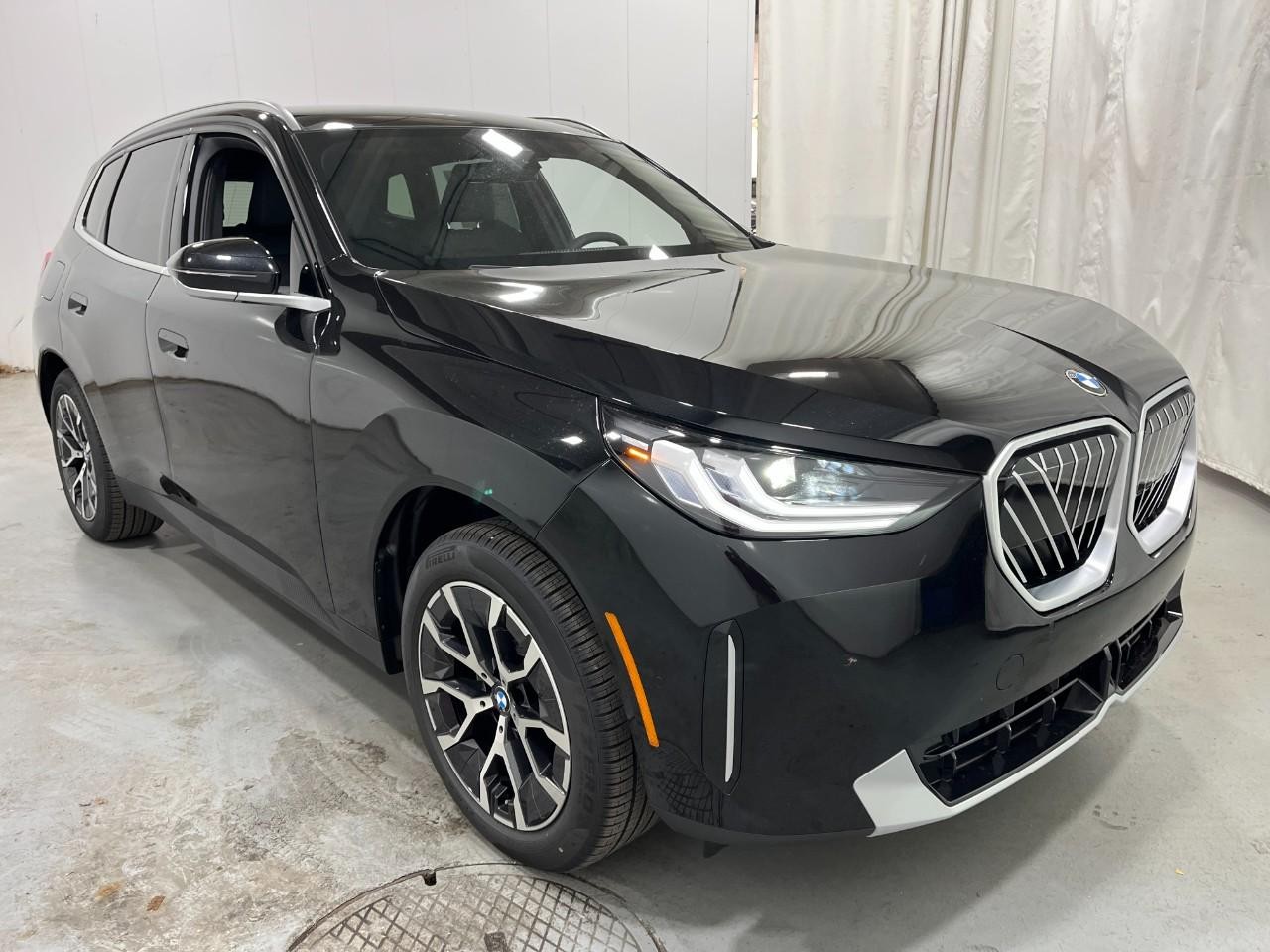 BMW X3 Vehicle Full-screen Gallery Image 6