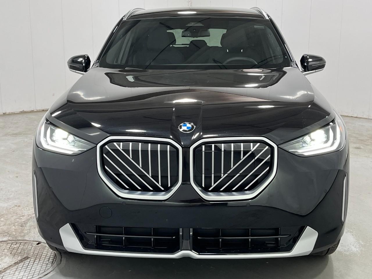 BMW X3 Vehicle Full-screen Gallery Image 7