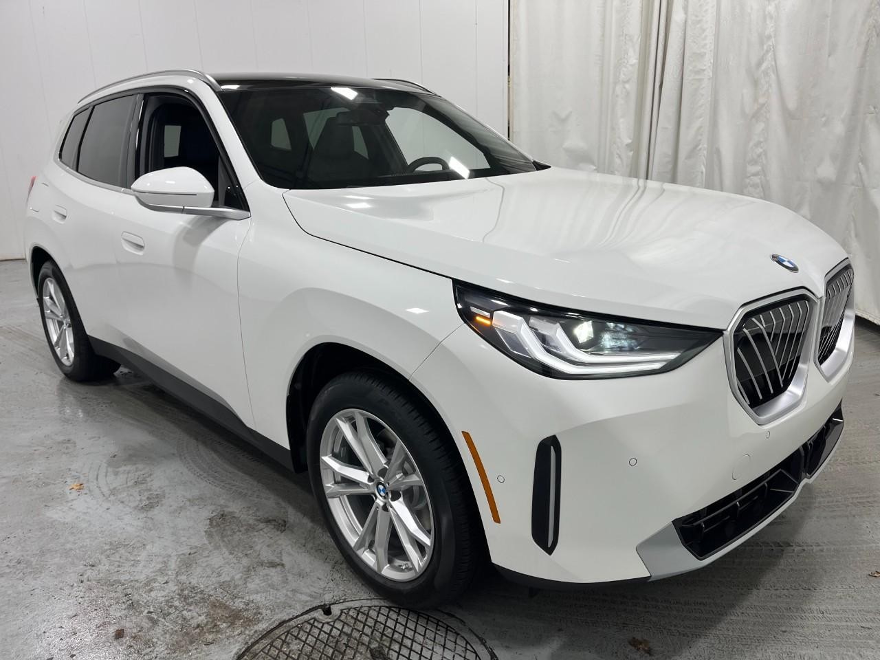 BMW X3 Vehicle Full-screen Gallery Image 6