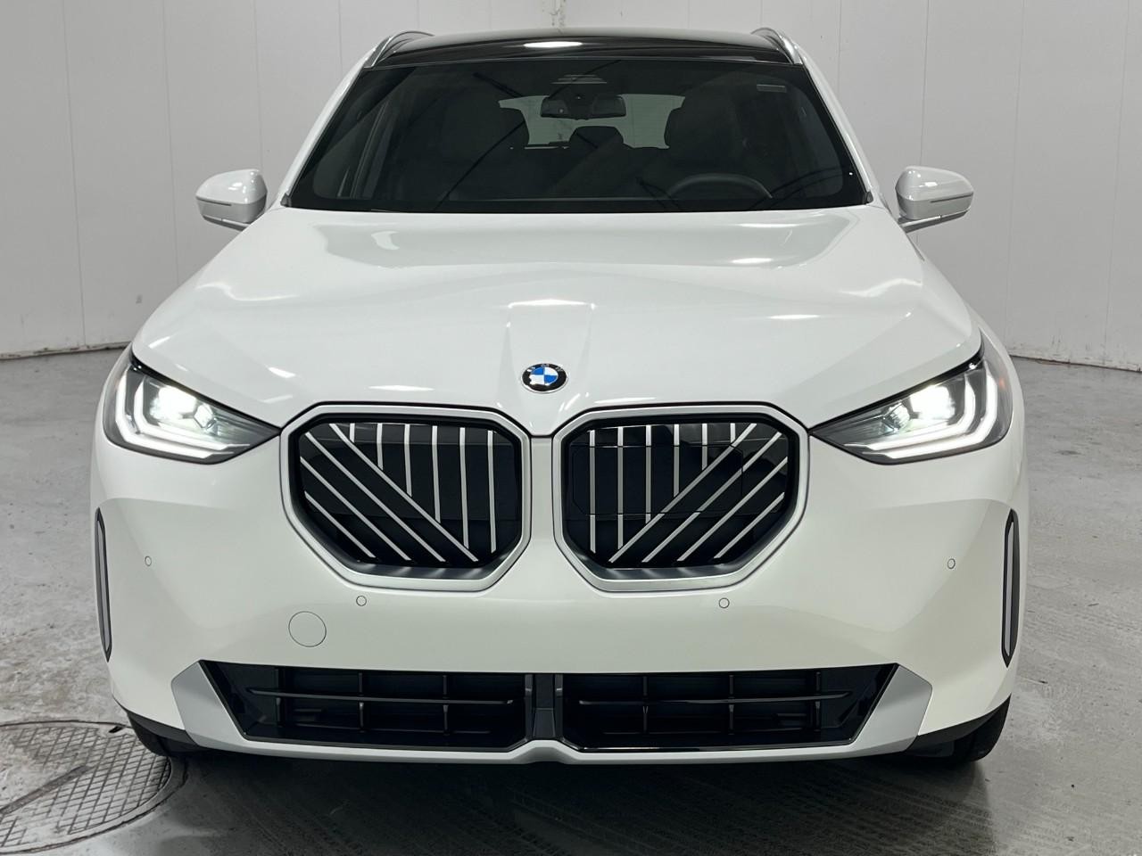 BMW X3 Vehicle Full-screen Gallery Image 7