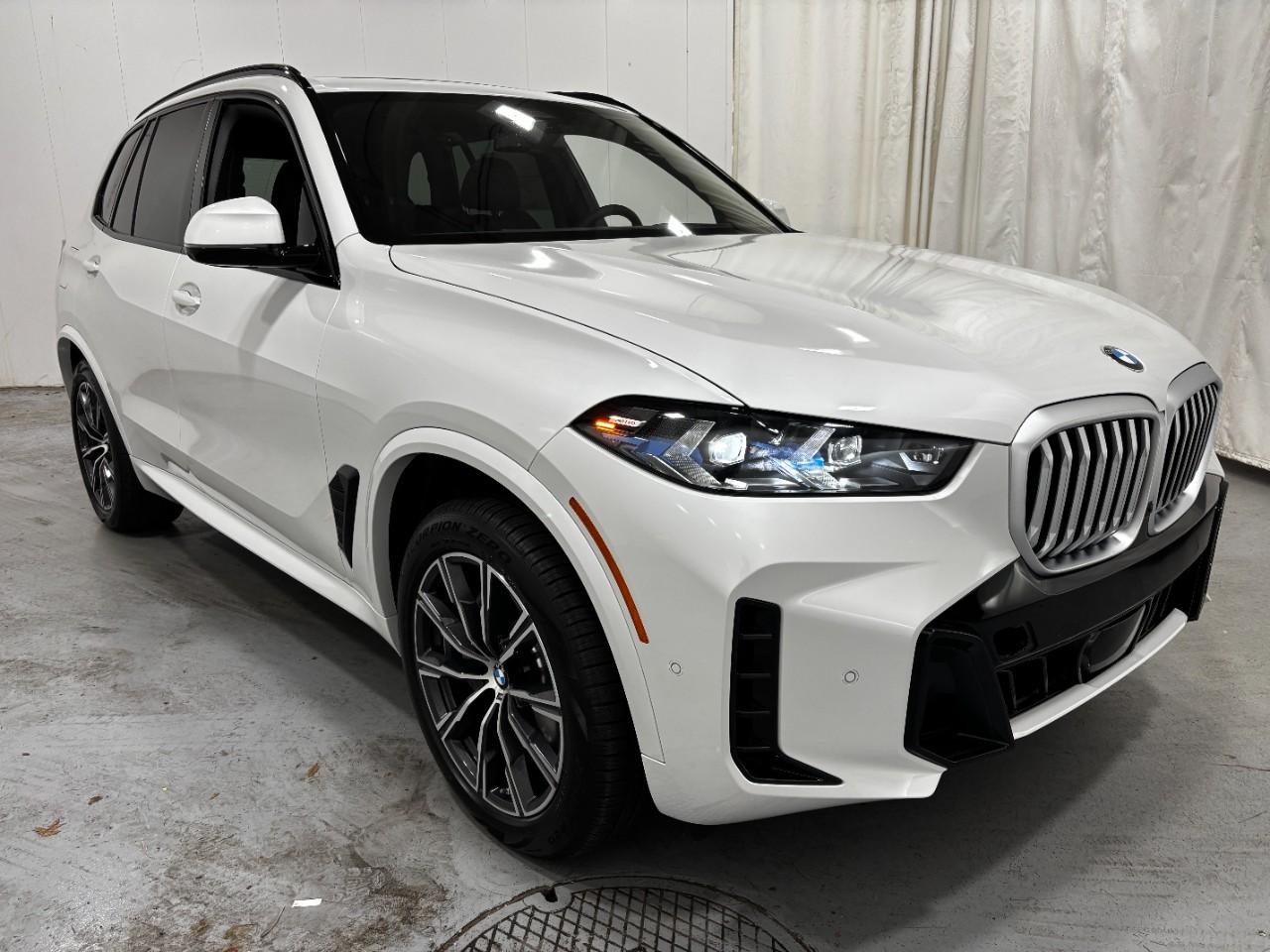 BMW X5 Vehicle Full-screen Gallery Image 6