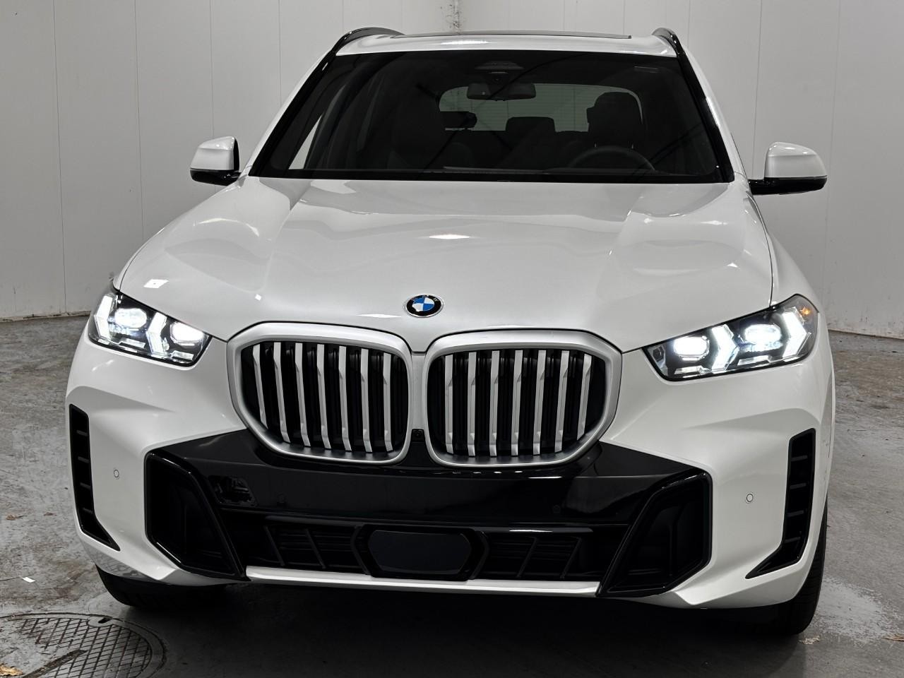 BMW X5 Vehicle Full-screen Gallery Image 7