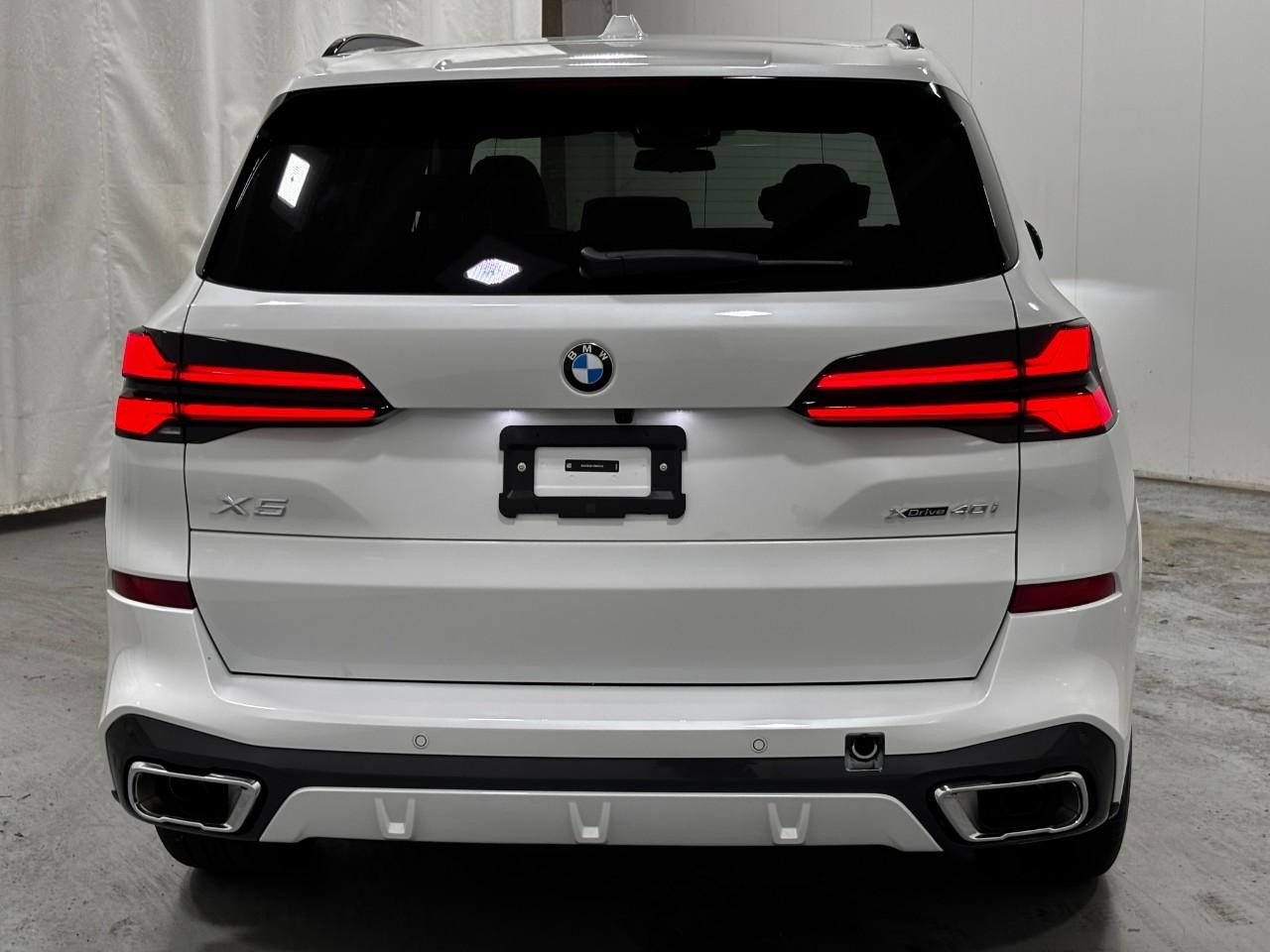 BMW X5 Vehicle Full-screen Gallery Image 10