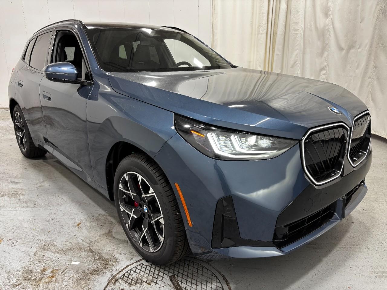 BMW X3 Vehicle Full-screen Gallery Image 6