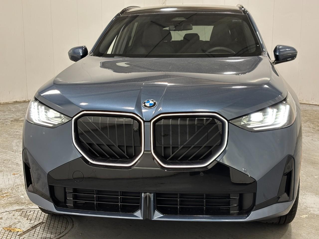 BMW X3 Vehicle Full-screen Gallery Image 7