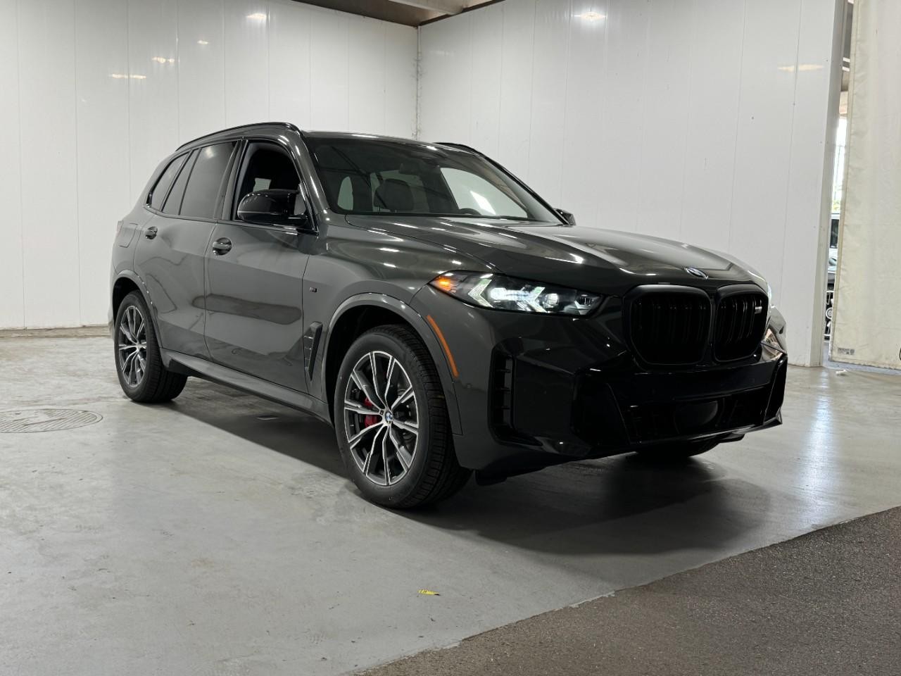 BMW X5 Vehicle Full-screen Gallery Image 6